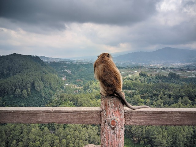جبل كيراتون كليف في باندونق , Keraton Cliff in Bandung