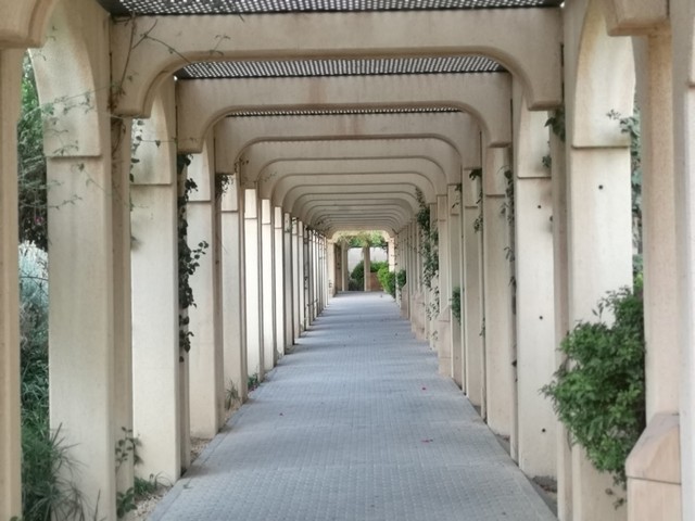 Khuzama Park in Riyadh