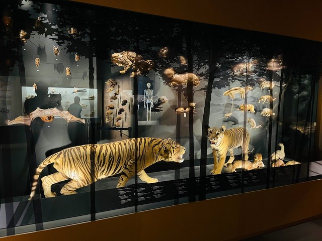 متحف لي كونغ تشيان للتاريخ الطبيعي سنغافورة - Lee Kong Chian Natural History Museum Singapore