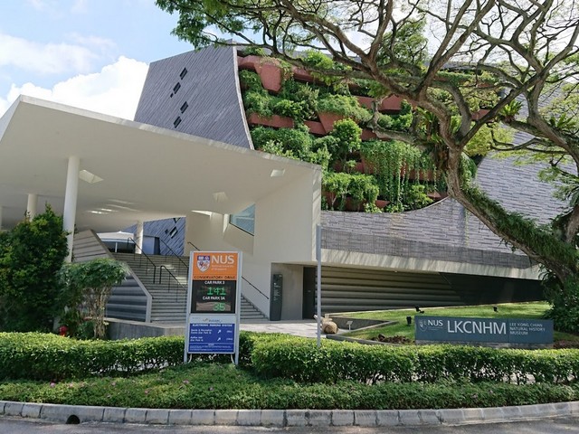 best museums in singapore