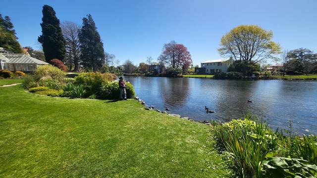 Mona Vale Garden