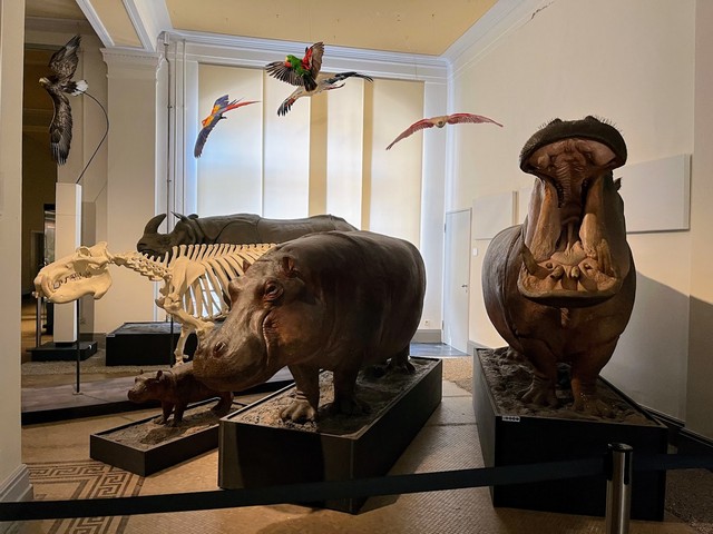 Museum of Natural History Berlin