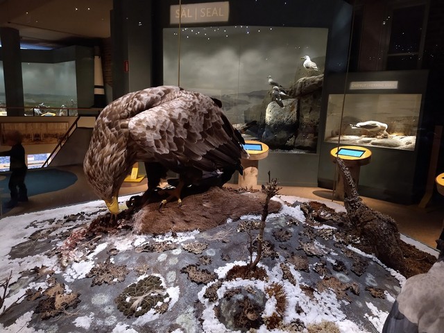 المتحف السويدي للتاريخ الطبيعي ستوكهولم - Museum of Natural History Stockholm