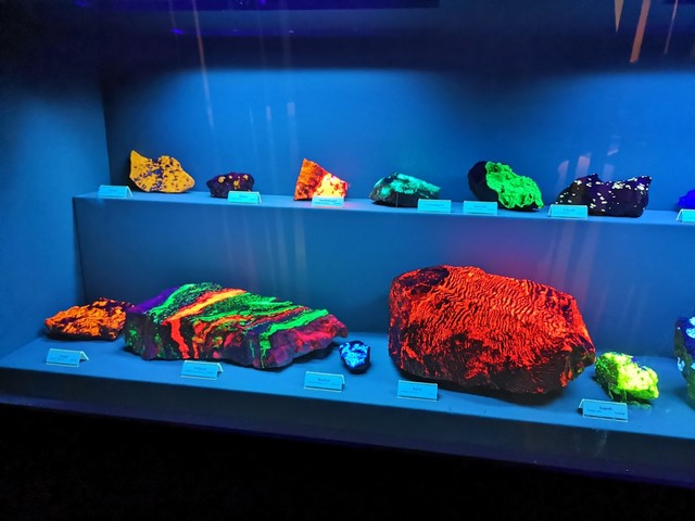 المتحف السويدي للتاريخ الطبيعي ستوكهولم - Swedish Museum of Natural History