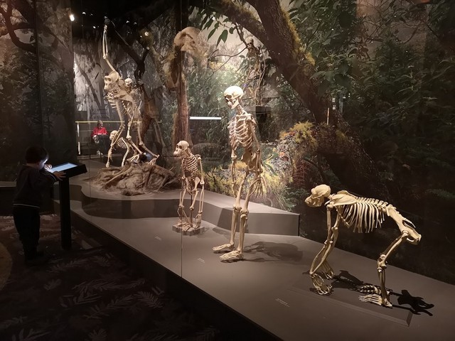 Stockholm attractions for families