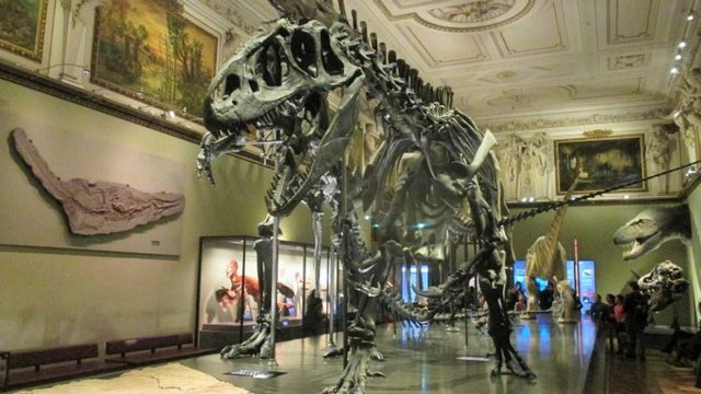 Naturhistorisches Museum
