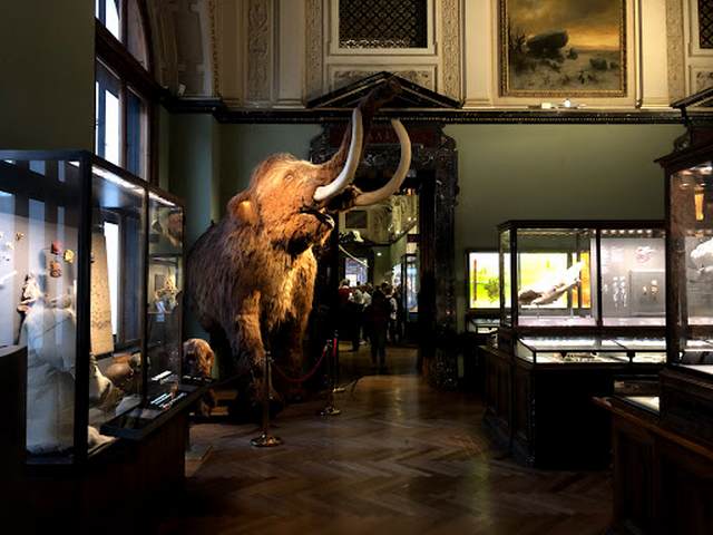 Museum of Natural History Vienna