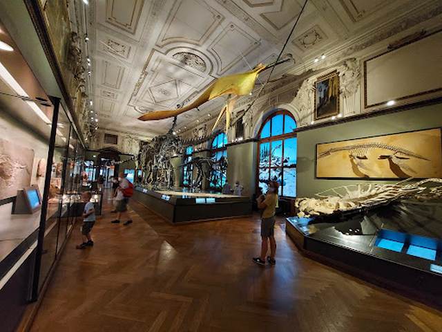 Museum of Natural History