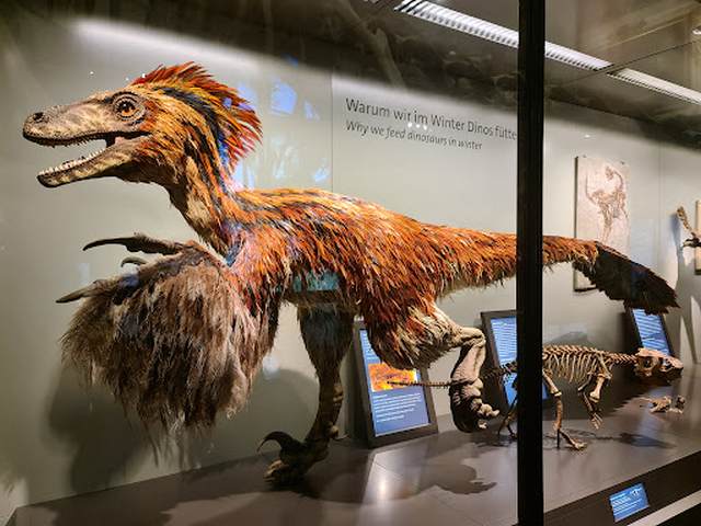 Museum of Natural History Vienna