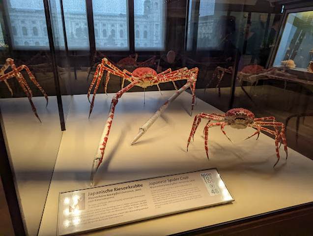 Naturhistorisches Museum