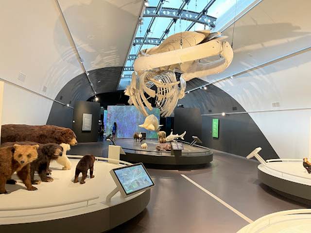 Museum of Natural Sciences Brussels