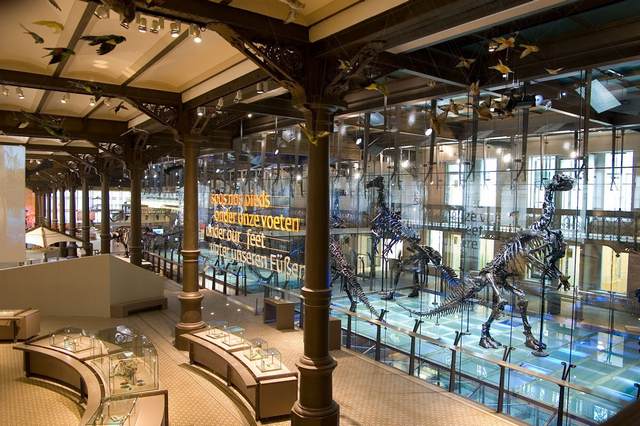 Museum of Natural Sciences Brussels