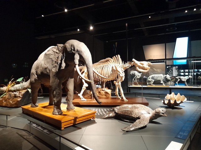 Museum of Natural Sciences of Barcelona