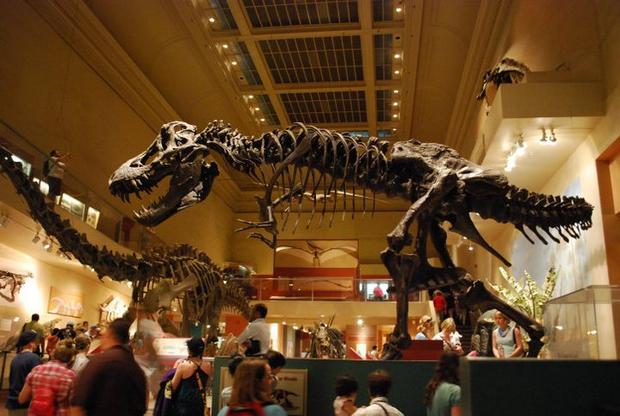 Smithsonian National Museum of Natural History in Washington