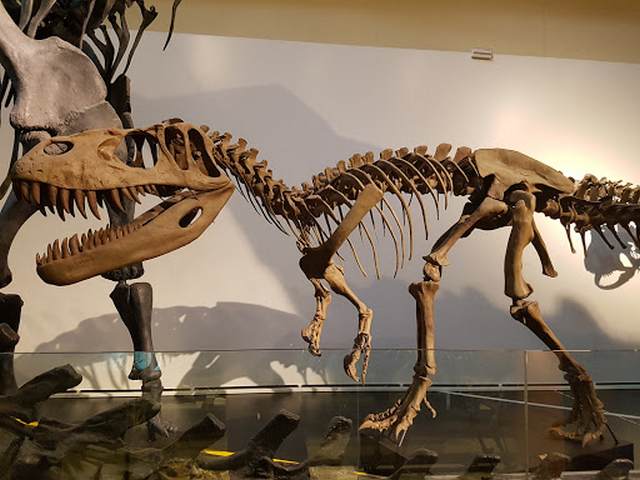 National Museum of Natural Sciences Madrid