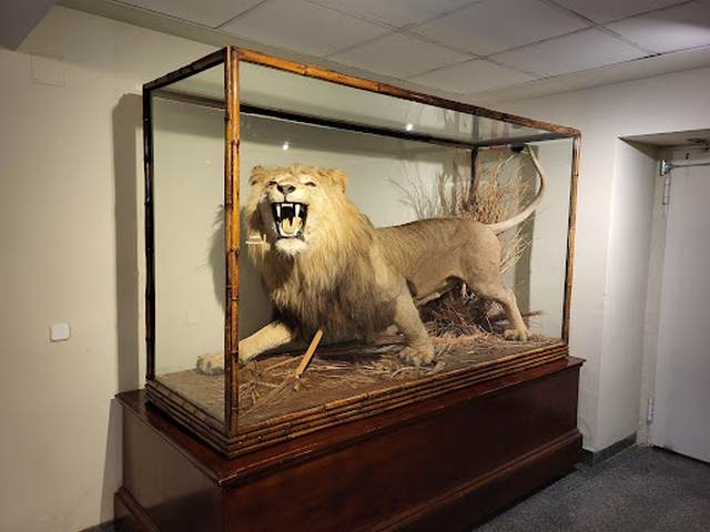 National Museum of Natural Sciences in Madrid