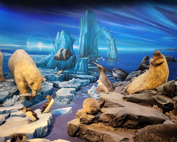 Natural History Museum Geneva