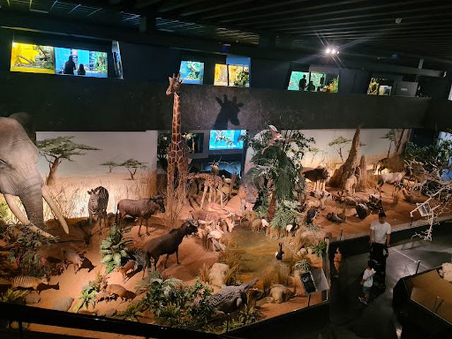 Natural History Museum Geneva
