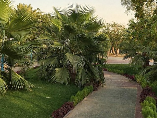 Public Al Suwaidi Garden in Riyadh