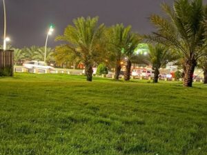 حدائق تبوك