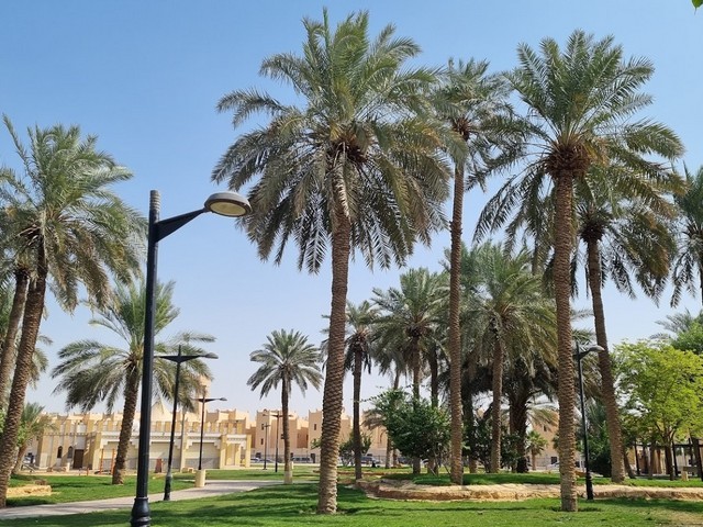 Wadi Park Riyadh