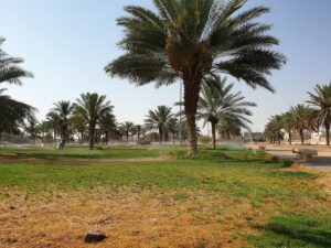 افضل الحدائق في حائل - حدائق حائل
