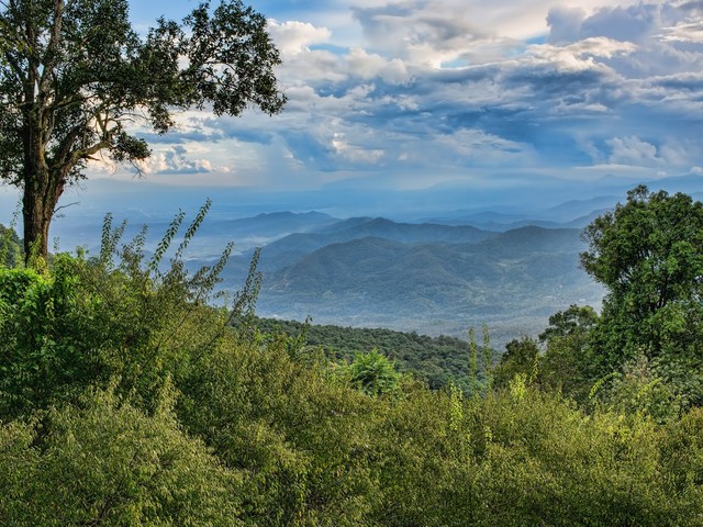 top things to do in Chiang Mai