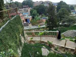 حديقة الملك عبدالله تنومة