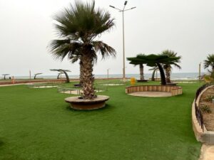 شاطئ النخيل القنفذة