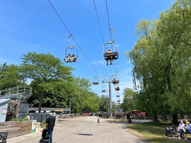 popular things to do in Toronto
