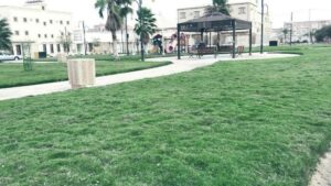 حديقة النورس نجران