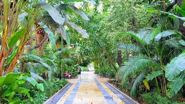 parks in Marbella - top things to do in Marbella