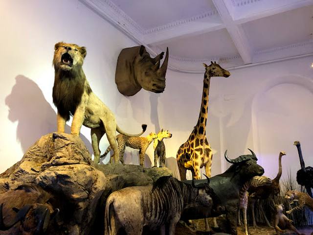 Antipa Museum Bucharest - متحف جريجور أنتيبا في بوخارست