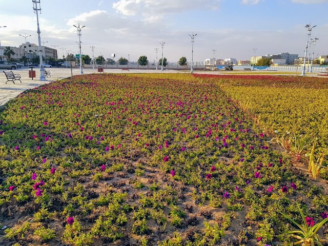 مناطق سياحية في عرعر