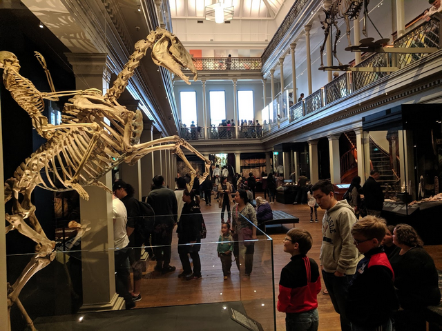 Australian Museum Sydney