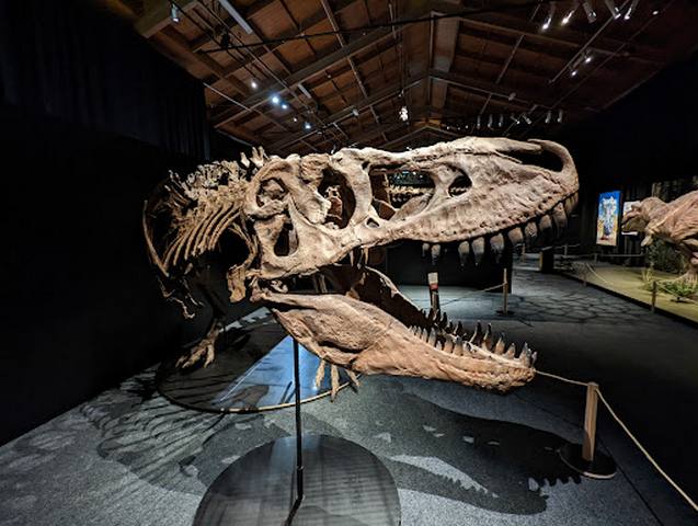 متحف كانتربري في كرايستشرش - Canterbury Museum Christchurch