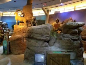 متحف الطفل بالقاهرة - things to do in Cairo with kids
