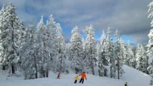جبل السرو فانكوفر - Cypress Mountain