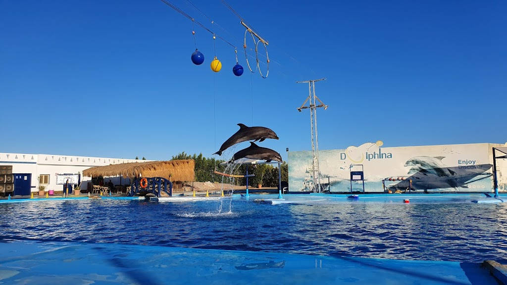 fun things to do in Hurghada