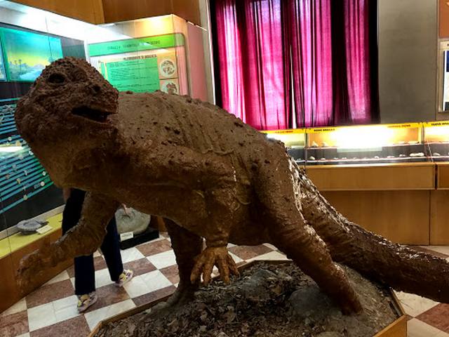 Geology Museum in Bucharest -  المتحف الجيولوجي الوطني في بوخارست