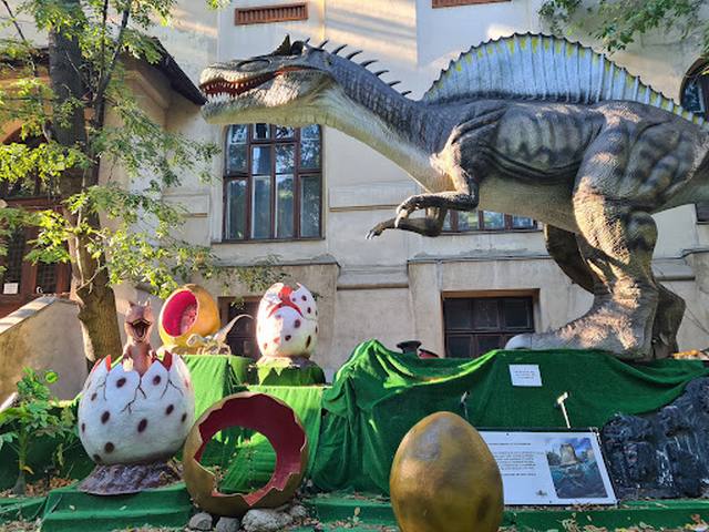 Geology Museum Bucharest -  المتحف الجيولوجي الوطني بوخارست