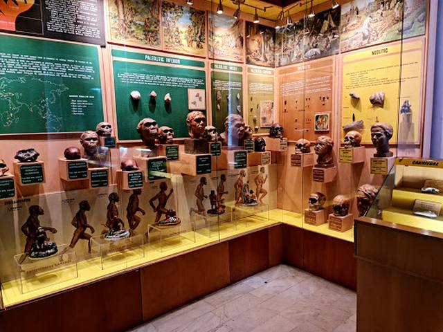 Geology Museum Bucharest -  المتحف الجيولوجي الوطني في بوخارست