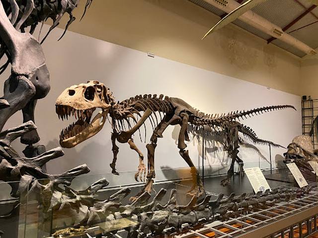 Geomining Museum Madrid