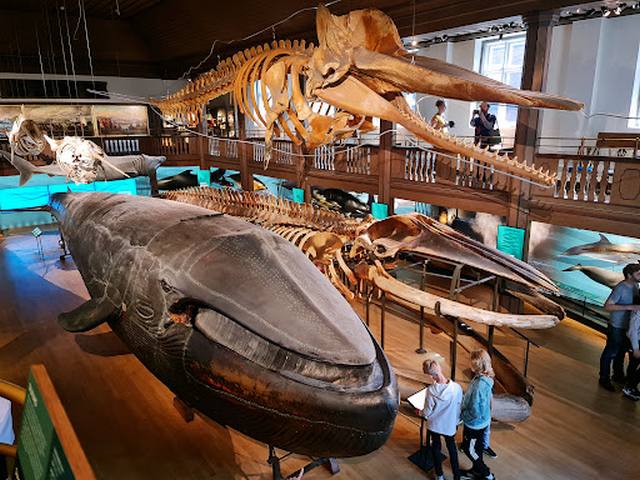 Museum of Natural History in Gothenburg - متحف غوتنبرغ للتاريخ الطبيعي