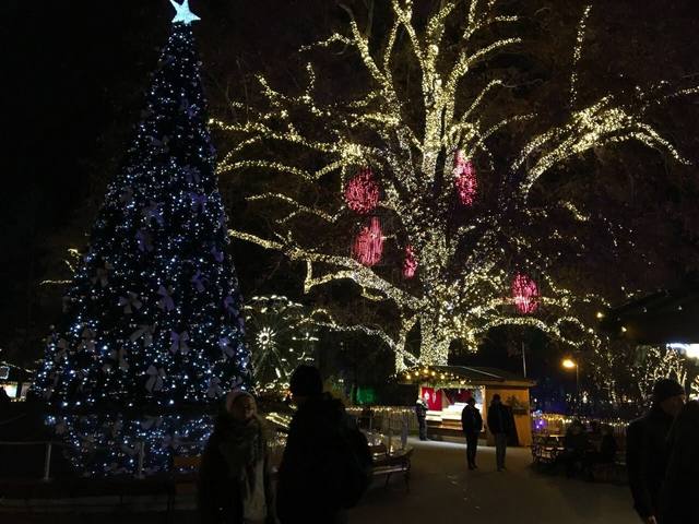 جزيرة غراند إيل في ستراسبورغ - Grande Island Strasbourg