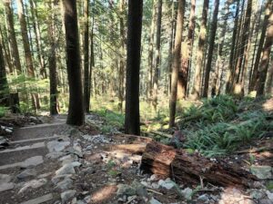 جبل جروس فانكوفر - best attractions in Vancouver