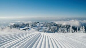 جبل جروس فانكوفر - Grouse Mountain