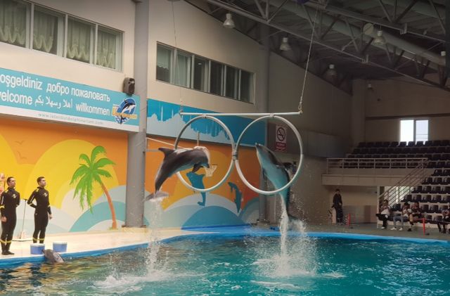 Istanbul Dolphinarium