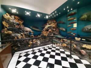 Hurghada Marine Museum & Aquarium