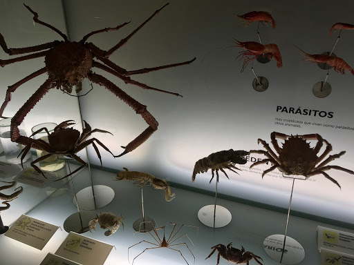 Museum of Nature and Archaeology